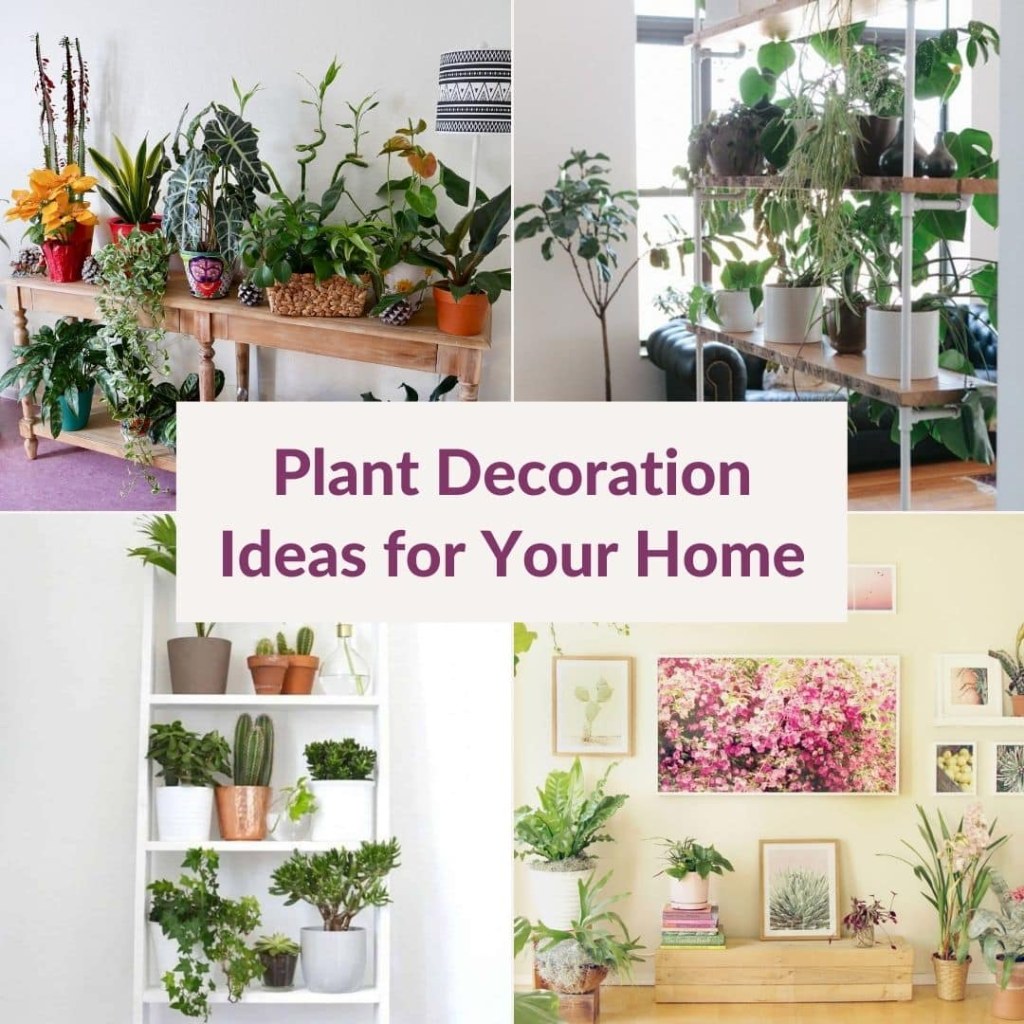 creative decorative plants - Creative Plant Decoration Ideas for Your Home  Joy Us Garden